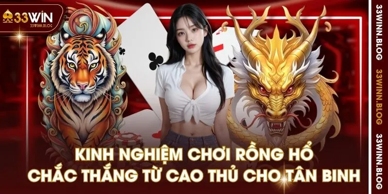 kinh nghiệm chơi rồng hổ